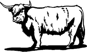 Bull, Viynl cut decal