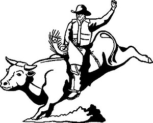 Bull Rider, Vinyl cut decal