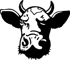 Cows Head, Vinyl cut decal