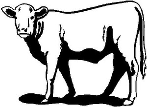 Cow, Vinyl cut decal