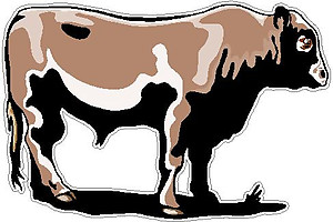 Cow, Full color decal