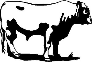 Cow, Vinyl cut decal