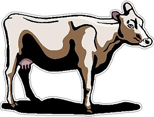 Cow, Full color decal