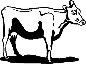 Cow, Vinyl cut decal