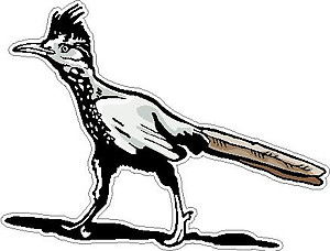 Road Runner, Full color decal