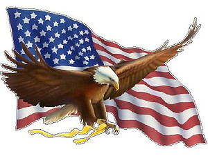 Bald Eagle flying in front of a American Flag