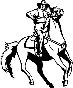 Cowgirl riding a horse, Vinyl cut decal