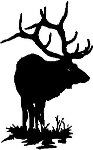 Elk