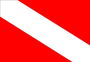 Driver Down Flag