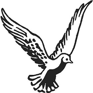 Flying Dove, Vinyl cut decal