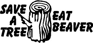 Save a tree eat beaver, Vinyl decal sticker