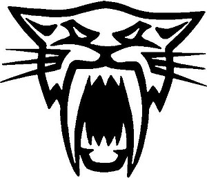 Artic Cat, Vinyl decal sticker