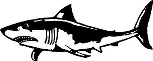 Shark, Vinyl cut decal 
