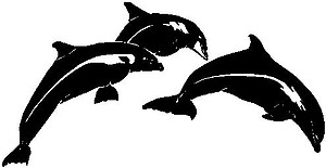 Dolphin, Vinyl decal sticker