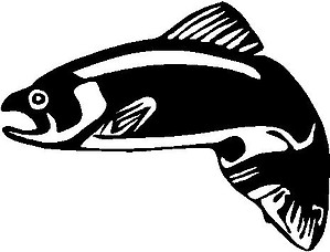 Salmon, fishing, Vinyl decal sticker