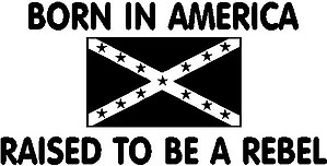 Born in America Raised to be a Rebel, Rebel Flag, Vinyl decal sticker