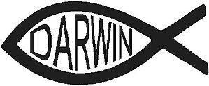 Darwin fish, Vinyl decal sticker, Vinyl decal sticker