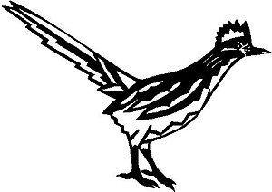 Road Runner, Vinyl Cut decal 