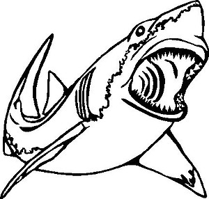 Shark, Vinyl cut decal