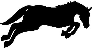 A Horse Jumping, Vinyl cut decal