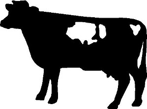 Cow, Vinyl cut decal