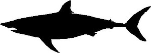 Shark, Vinyl cut decal