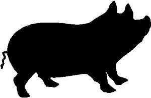 Big Fat Pig, Vinyl cut decal