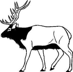 Elk, Vinyl cut decal