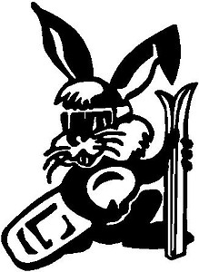 Bunny With Skis and snow board, Vinyl cut decal