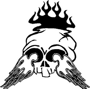 Flaming skull, Vinyl cut decal
