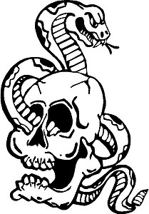 Snake going through a Skull, Vinyl cut decal