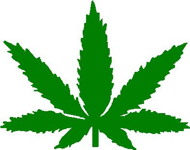 Marijuana Leave, Vinyl cut decal