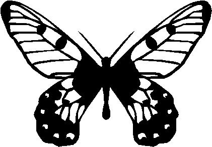 Butterfly, Vinyl cut decal