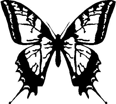 Butterfly, Vinyl cut decal