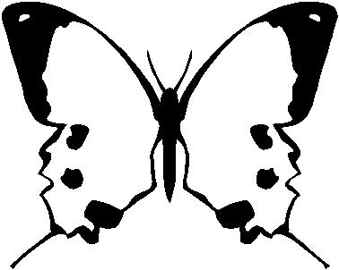 Butterfly, Vinyl cut decal