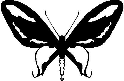 Butterfly, Vinyl cut decal