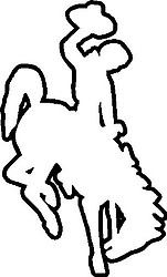 Wyoming Bucking Horse, Outline, Vinyl decal Sticker