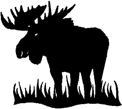 MOOSE, Vinyl cut decal