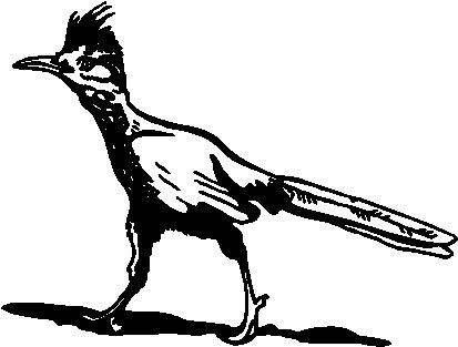 Road Runner, Vinyl Cut decal