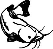 Cat fish, Vinyl decal sticker