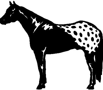 Horse, Vinyl cut decal