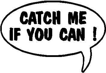 Catch me if you can!, Call out, Vinyl cut decal