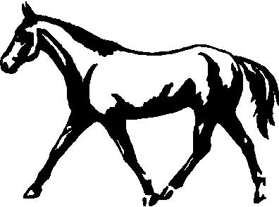 Horse, Vinyl cut decal