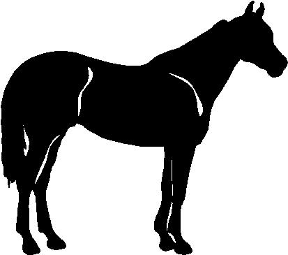 Horse, Vinyl cut decal