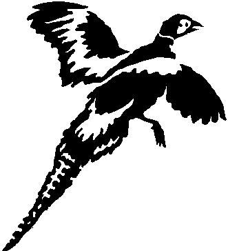 Pheasant, Vinyl cut decal