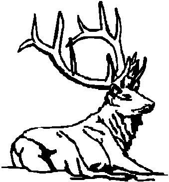 Elk, Beding down, Vinyl cut decal