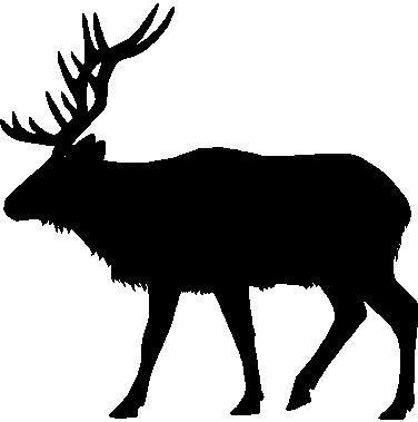 Elk, Vinyl cut decal