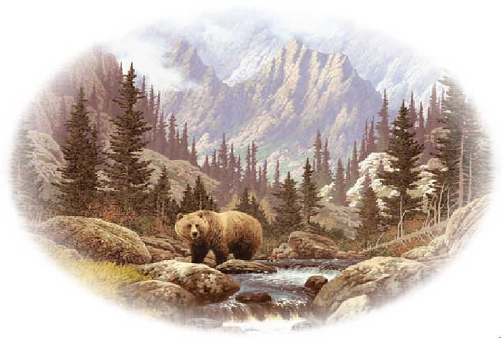 Bear Mural for your Rv by the Square Foot