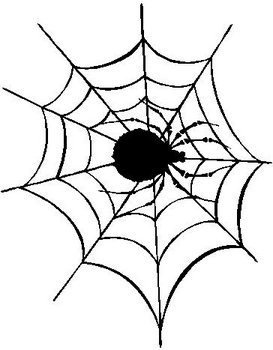Spider in a Web, Vinyl cut decal