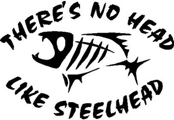 There's no head like steelhead,with a G.Loomis fish in the middle, Vinyl cut decal